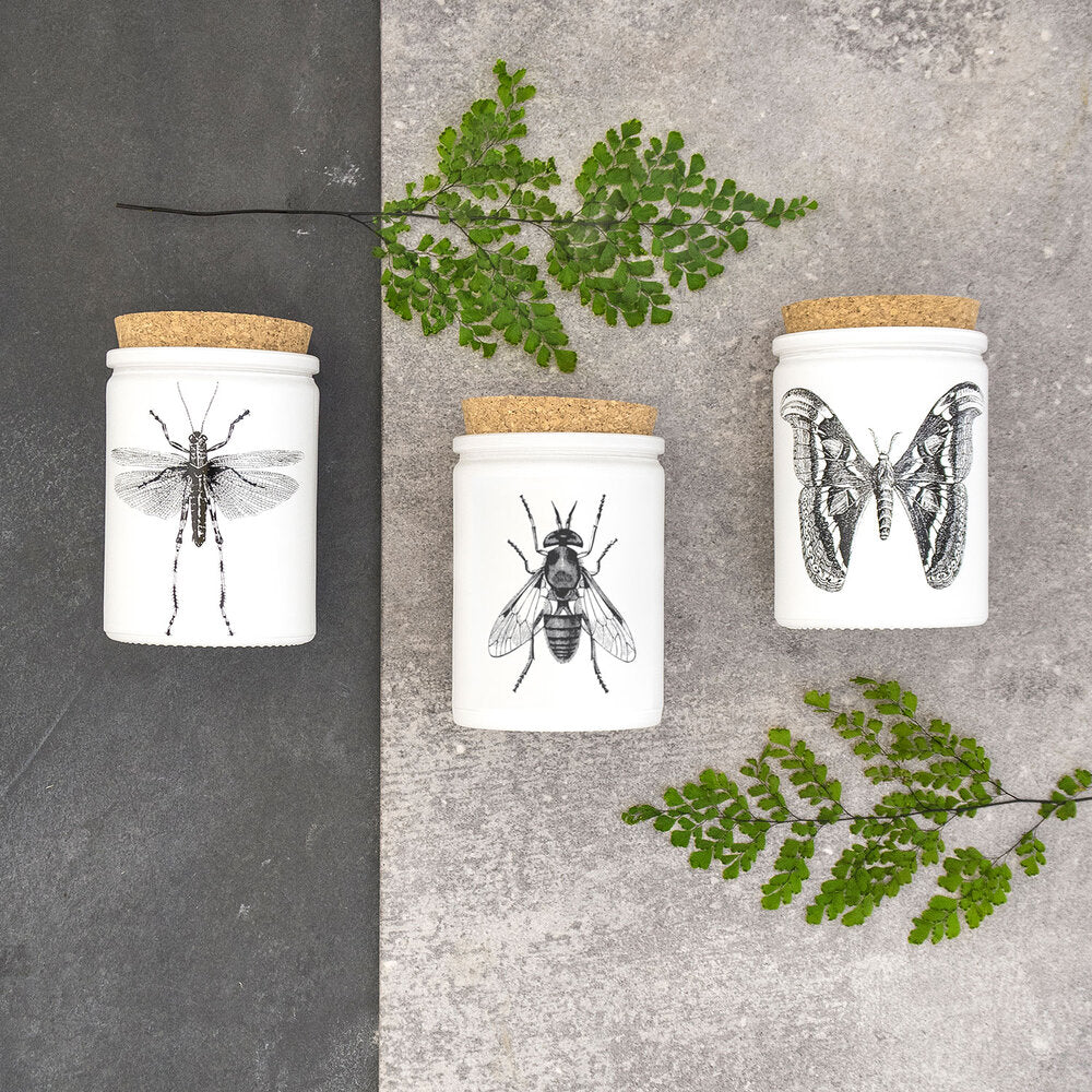 Citronella Eucalyptus Candle