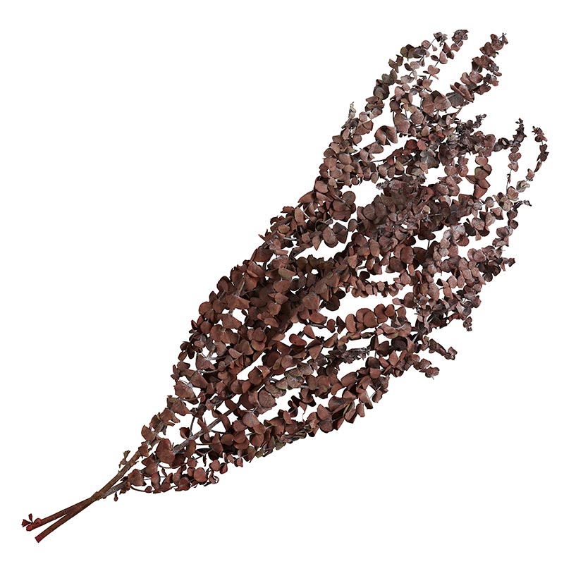 Dried Botanical Bunches