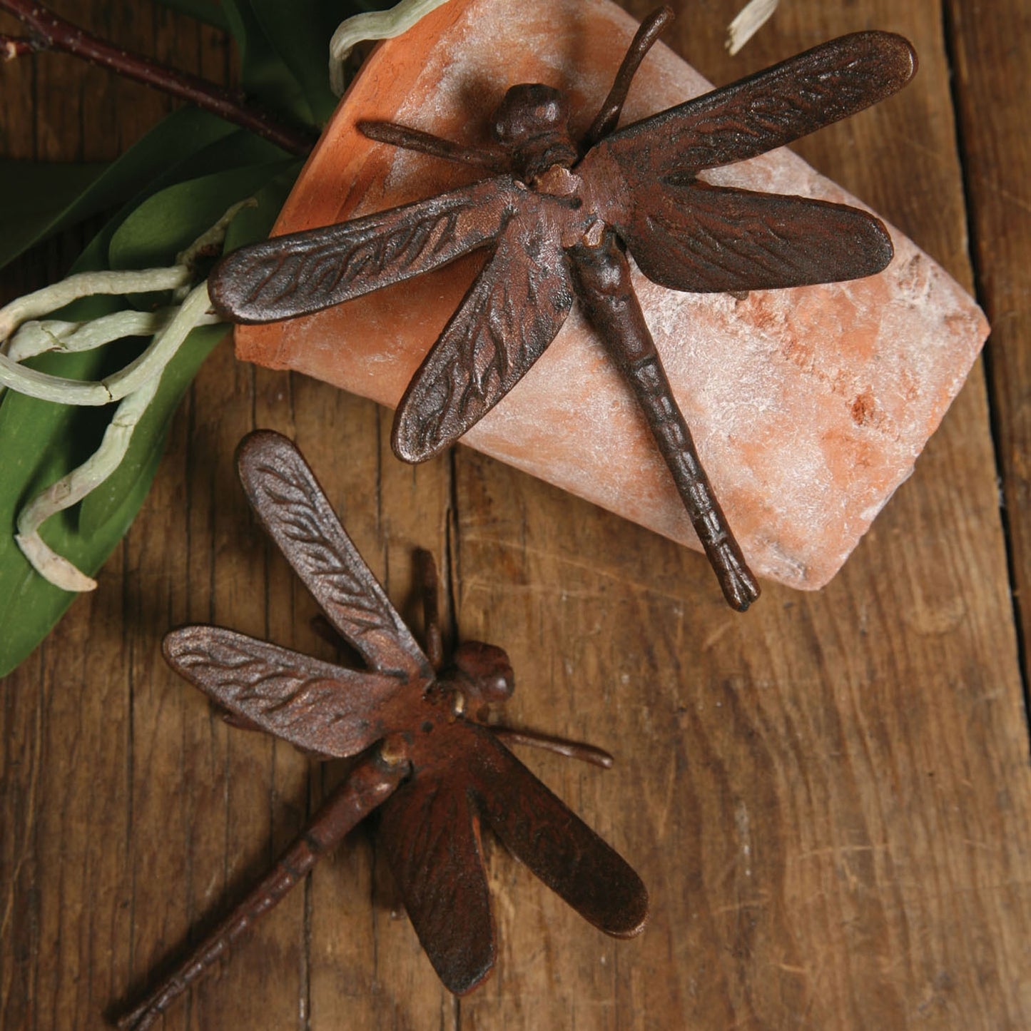 Rustic Cast Iron Dragonfly